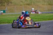 DSC_ (1331)